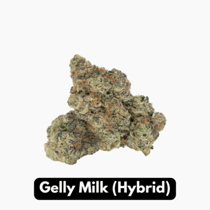 Natural THC-A Flower (Hybrid ~ Gelly Milk)