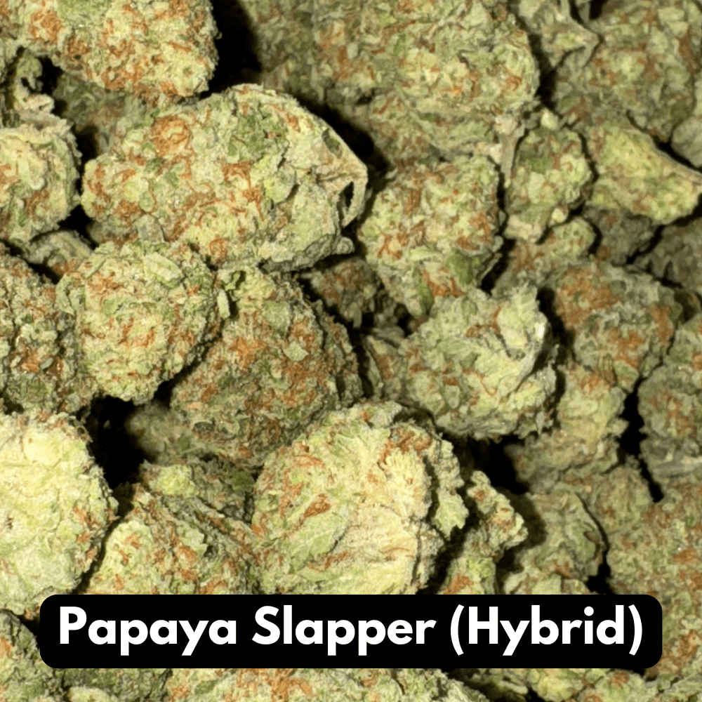 Natural THC-A Flower (Hybrid ~ Papaya Slapper)