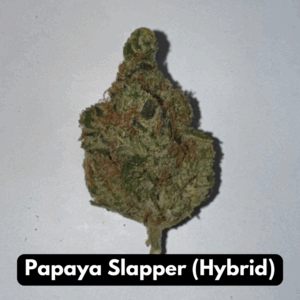 Natural THC-A Flower (Hybrid ~ Papaya Slapper)