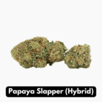 Natural THC-A Flower (Hybrid ~ Papaya Slapper)
