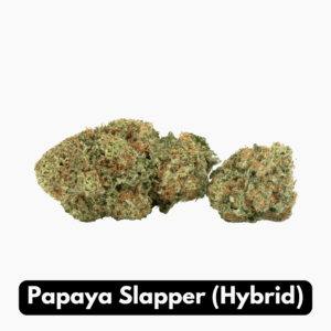Natural THC-A Flower (Hybrid ~ Papaya Slapper)