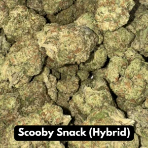 Buy Natural THC-A Flower - Hybrid Strain ~ Scooby Snack