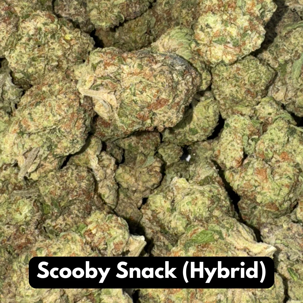 Buy Natural THC-A Flower - Hybrid Strain ~ Scooby Snack