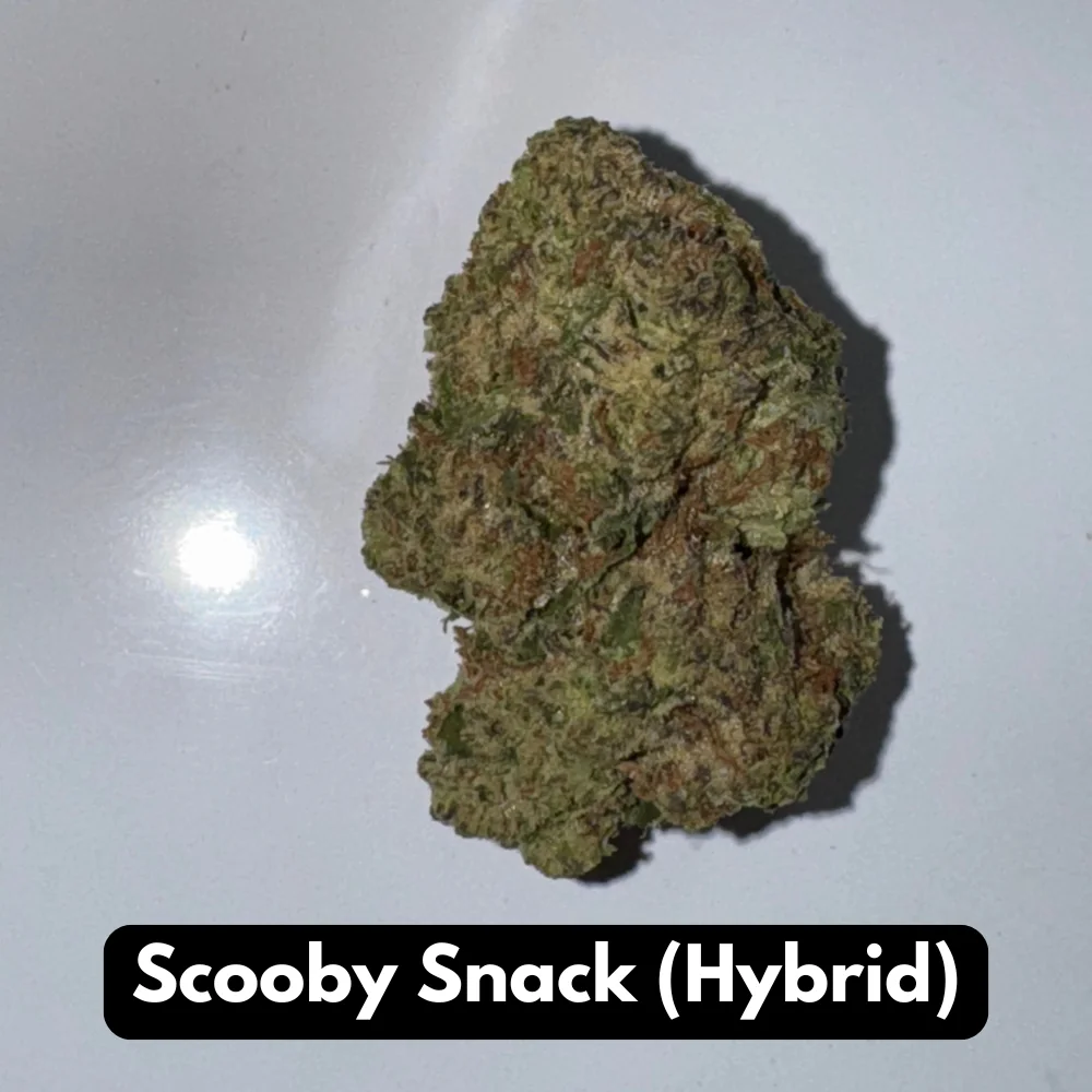 Buy Natural THC-A Flower - Hybrid Strain ~ Scooby Snack