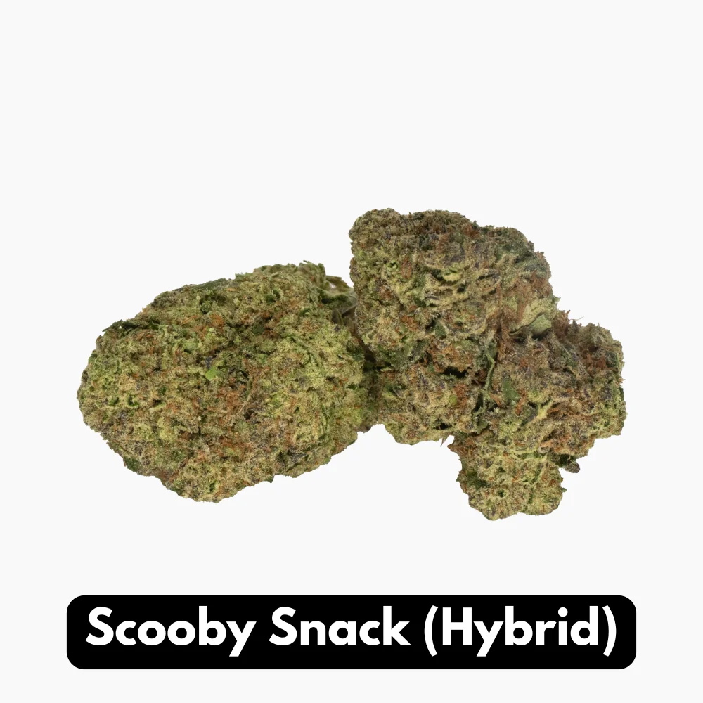 Natural THC-A Flower - Hybrid Strain ~ Scooby Snack