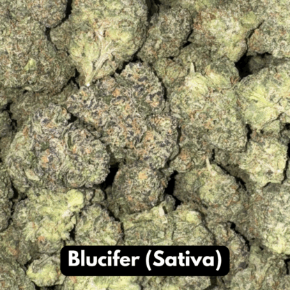 Natural THC-A Flower (Sativa ~ Blucifer)