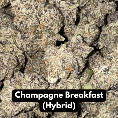 Natural THC-A Flower (Hybrid ~ Champagne Breakfast)