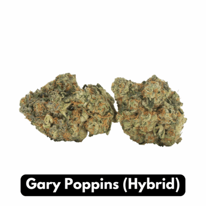 Natural THC-A Flower (Hybrid ~ Gary Poppins)