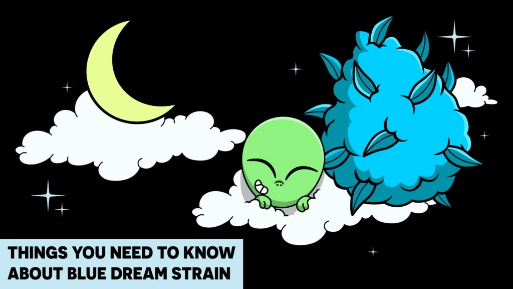 NeedtoKnowBlueDream