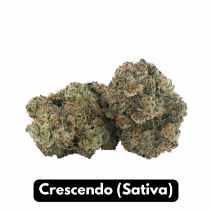 Natural THC-A Flower (Sativa ~ Crescendo)