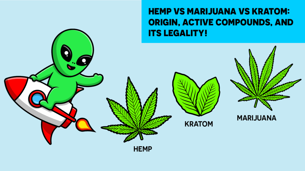 Hemp vs Marijuana vs Kratom Origin