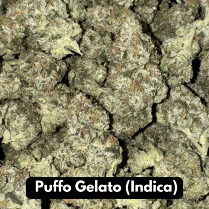 Natural THC-A Flower (Indica ~ Puffo Gelato)