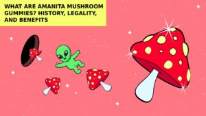 What Are Amanita Mushroom Gummies