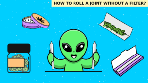 Roll Joint No Filter
