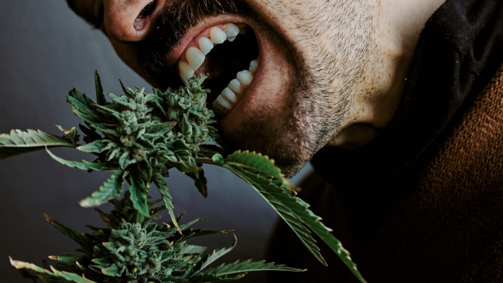 Can You Eat Weed Flower