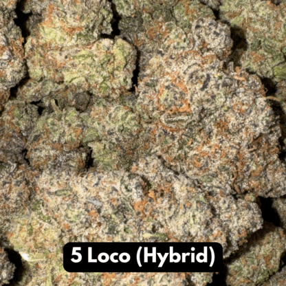 Natural THC-A Flower (Hybrid ~ 5 Loco)