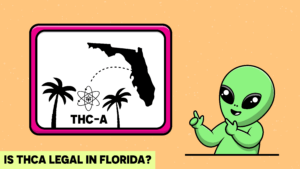 Is THCA Legal in Florida? Everything You Need to Know in 2026
