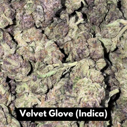 Natural THC-A Flower (Indica ~ Velvet Glove)