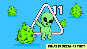 what is delta 11 thc