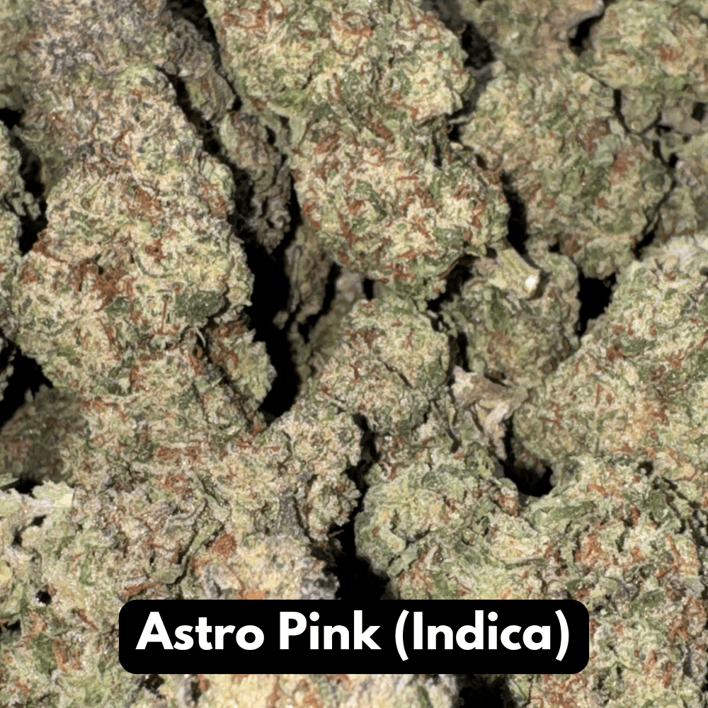 Natural THC-A Flower (Indica ~ Astro Pink)