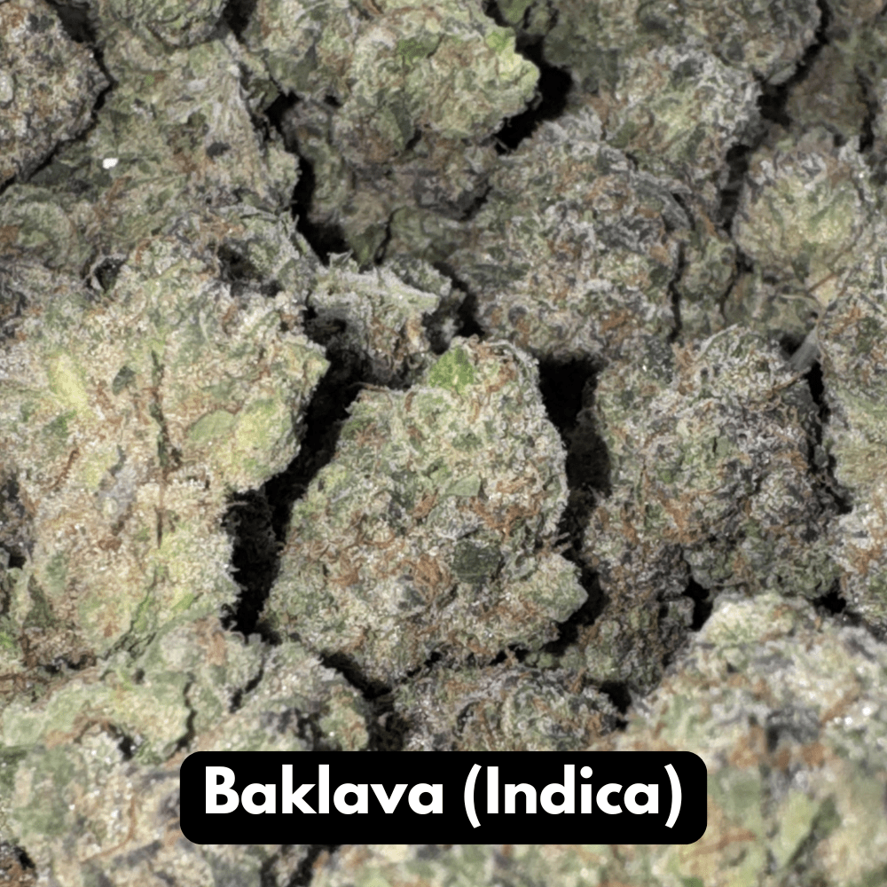 Natural THC-A Flower (Indica ~ Baklava)