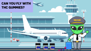 Can You Fly With THC Gummies