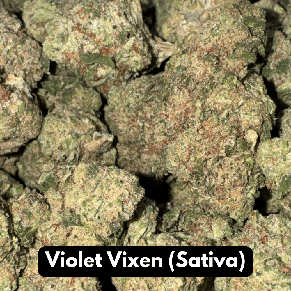 Natural THC-A Flower (Sativa ~ Violet Vixen)