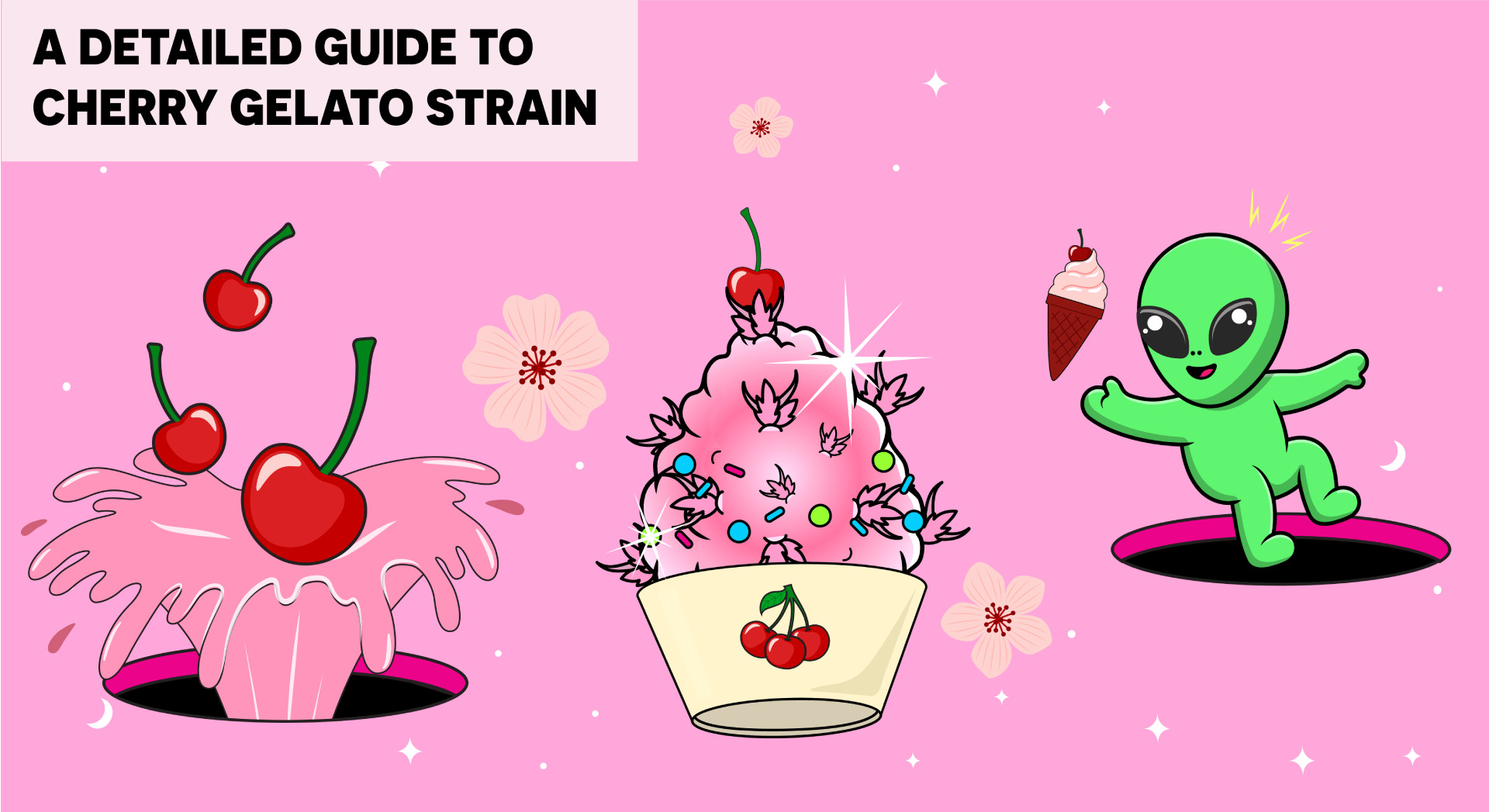 A Detailed Guide to Cherry Gelato Strain