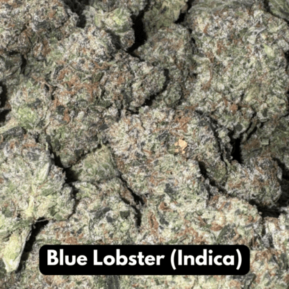 Natural THC-A Flower (Indica ~ Blue Lobster)