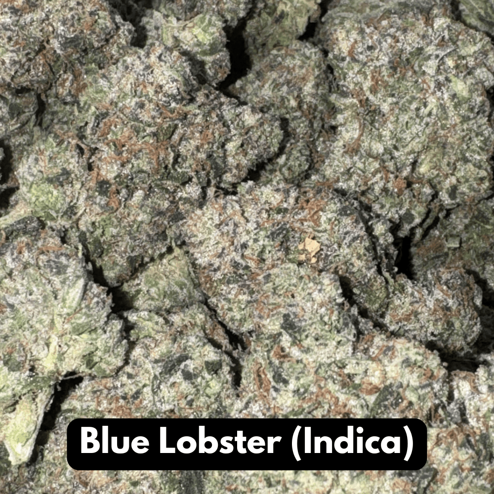 Natural THC-A Flower (Indica ~ Blue Lobster)