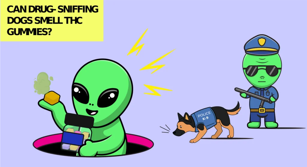 Can Drug Sniffing Dogs Smell THC Gummies