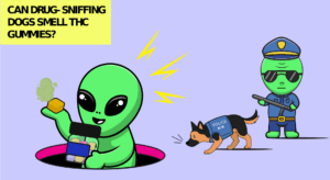 Can Drug Sniffing Dogs Smell THC Gummies