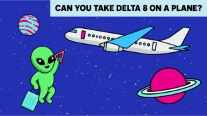Can You Take Delta 8 on a Plane