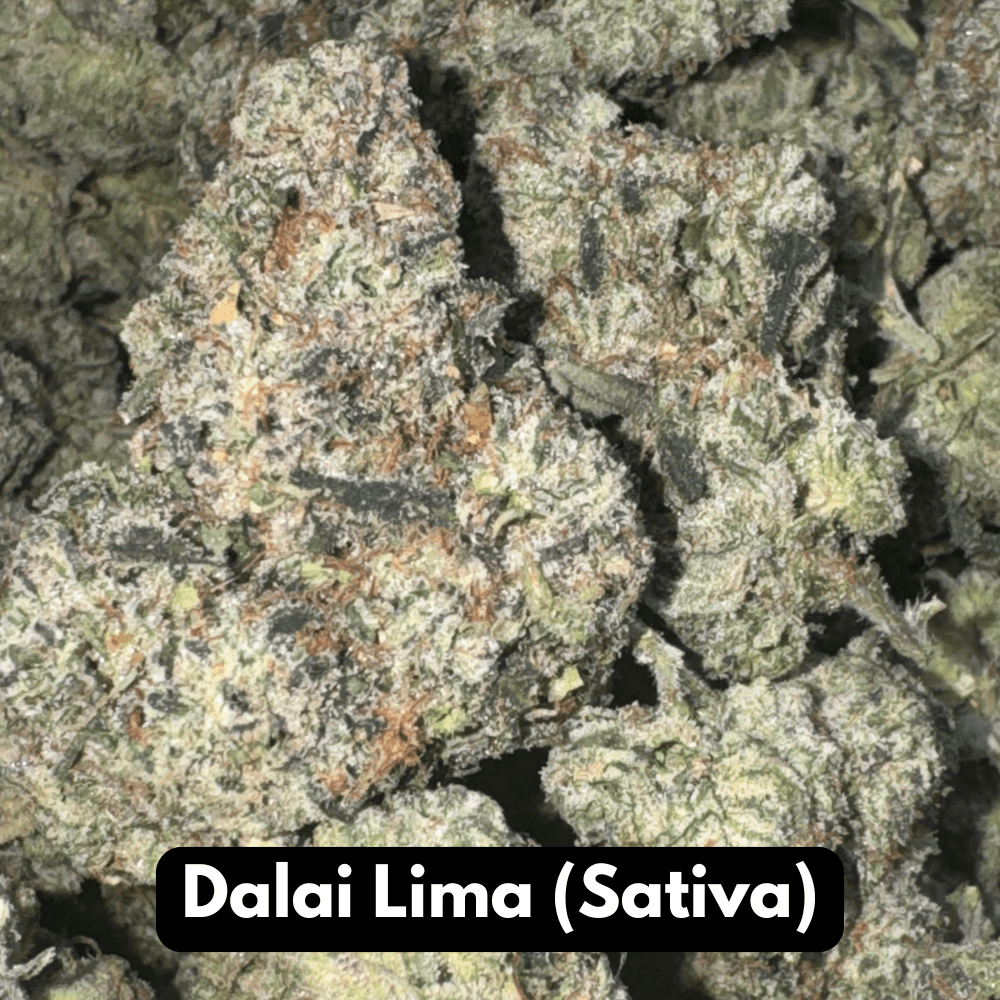 Natural THC-A Flower (Sativa ~ Dalai Lima)