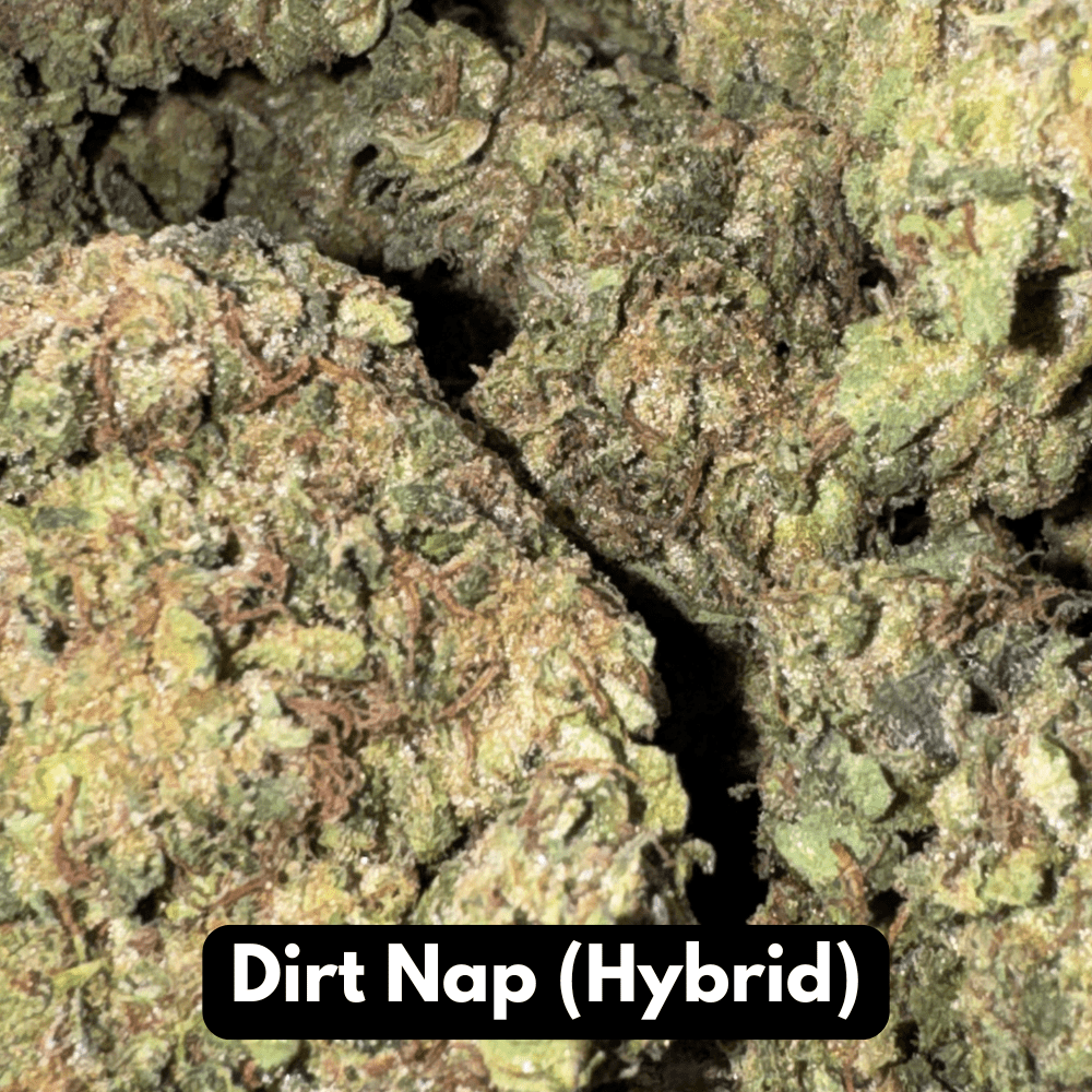 Natural THC-A Flower (Hybrid ~ Dirt Nap)