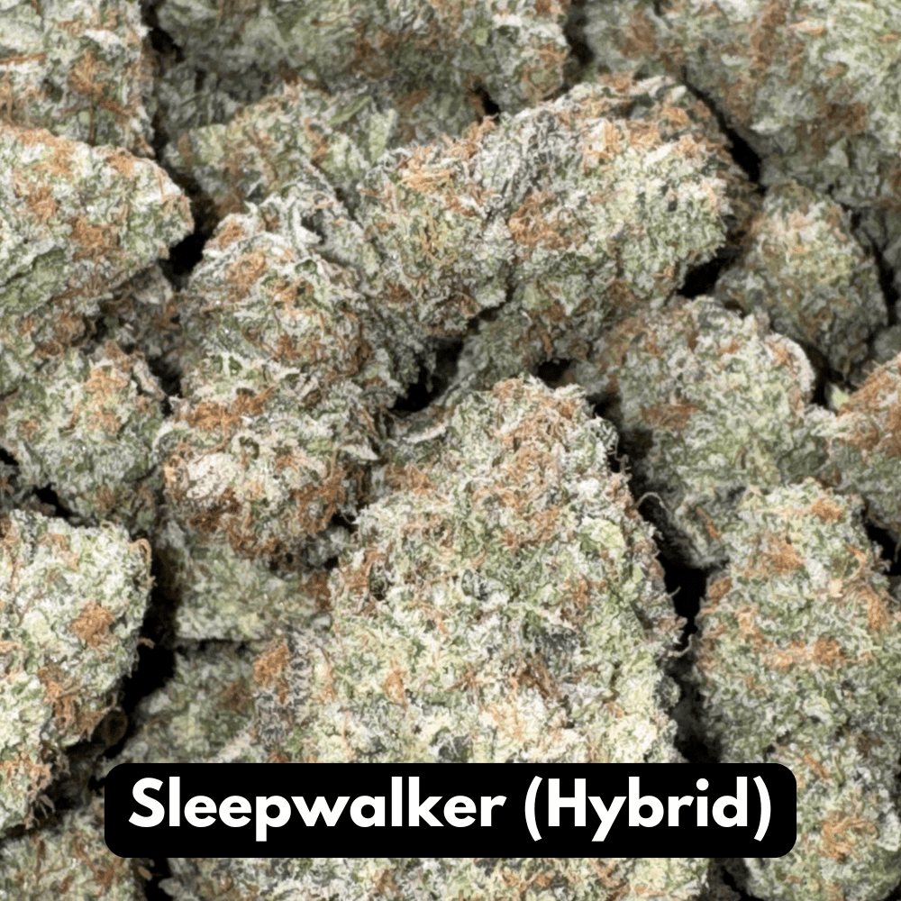 Natural THC-A Flower (Hybrid ~ Sleepwalker)