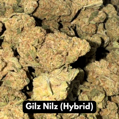 Natural THC-A Flower (Gilz Nilz ~ Hybrid)