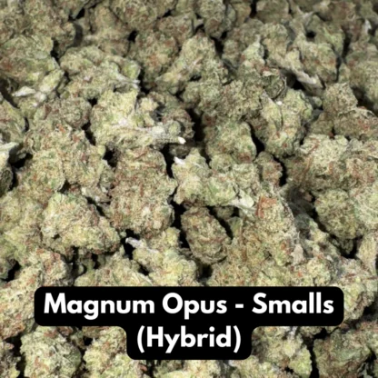Natural THC-A Flower (Hybrid ~ Magnum Opus – Smalls)