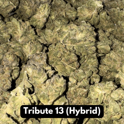 Natural THC-A Flower (Hybrid ~ Tribute 13)