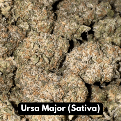 Natural THC-A Flower (Sativa ~ Ursa Major)