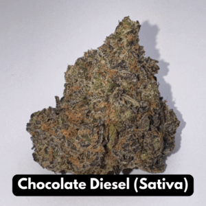 Single Chocolate Diesel sativa THCA flower bud with copper pistils on gray