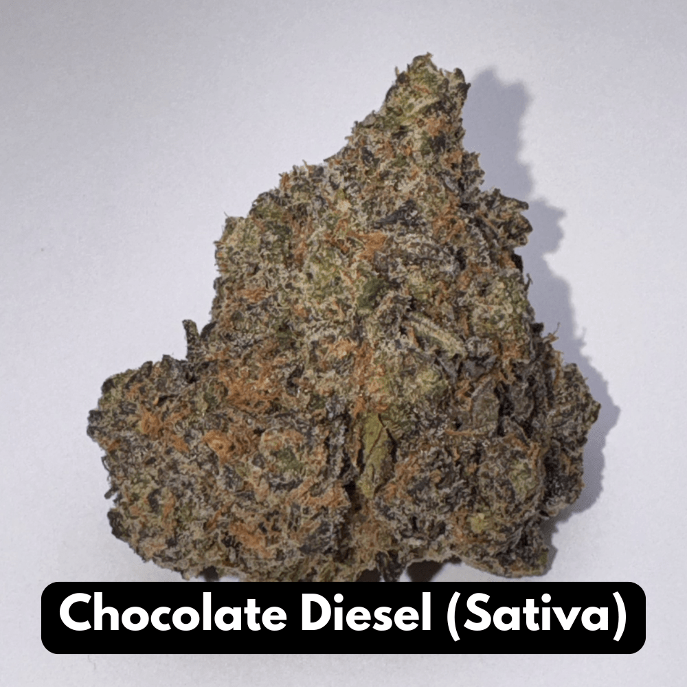 Single Chocolate Diesel sativa THCA flower bud with copper pistils on gray