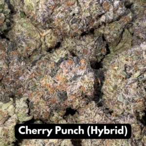 Bulk pile of Cherry Punch hybrid THCA flower buds with frosty gray-green tones