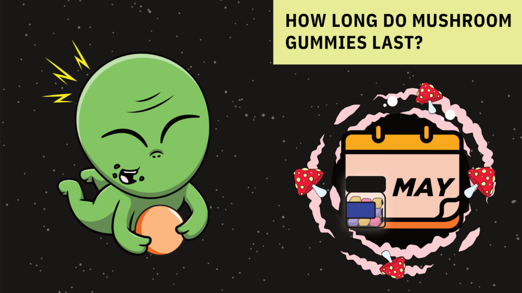 How Long Do Mushroom Gummies Last?