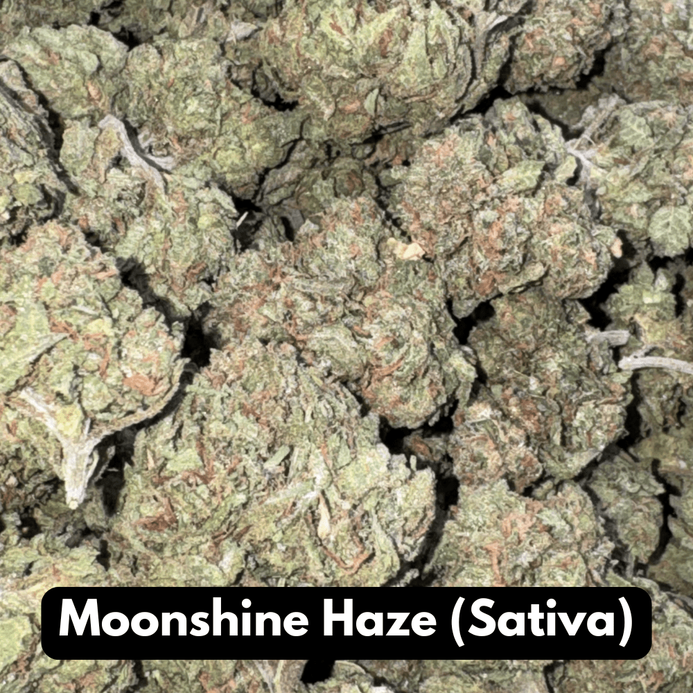 Natural THC-A Flower (Sativa ~ Moonshine Haze)