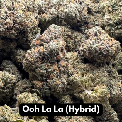 Natural THC-A Flower (Hybrid ~ Ooh La La)