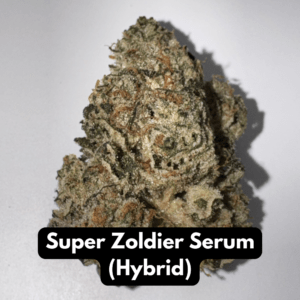 Close-up of Super Zoldier Serum hybrid THCA flower bud showing frosty trichomes