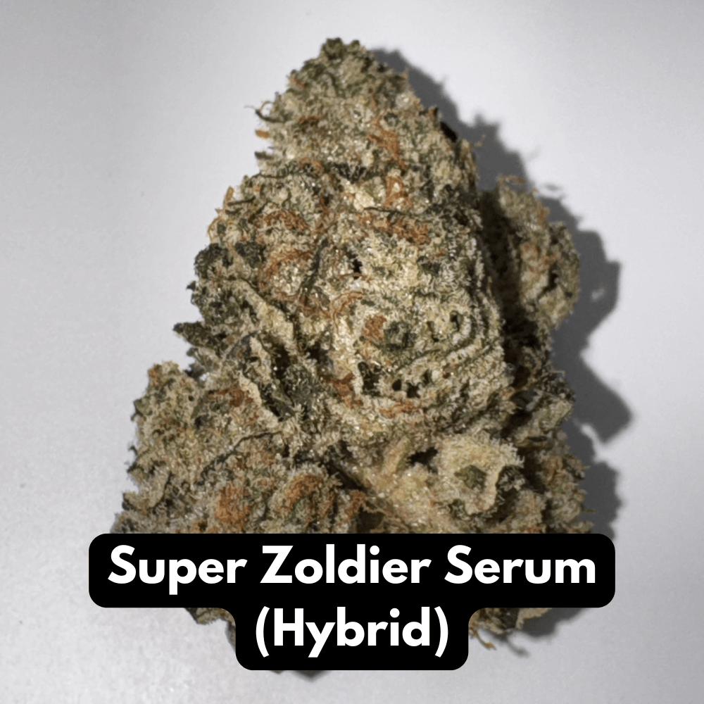 Close-up of Super Zoldier Serum hybrid THCA flower bud showing frosty trichomes