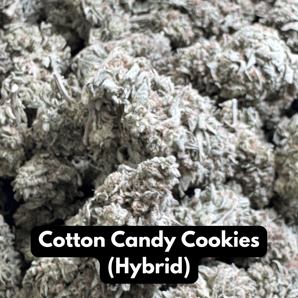 Natural THC-A hemp flower in Cotton Candy Cookies, hybrid strain, in a resealable pouch