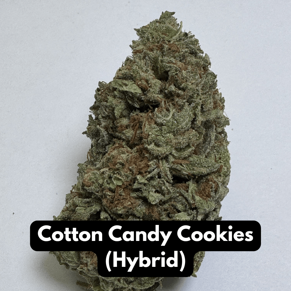 Natural THC-A hemp flower in Cotton Candy Cookies, hybrid strain, in a resealable pouch — close-up of the buds